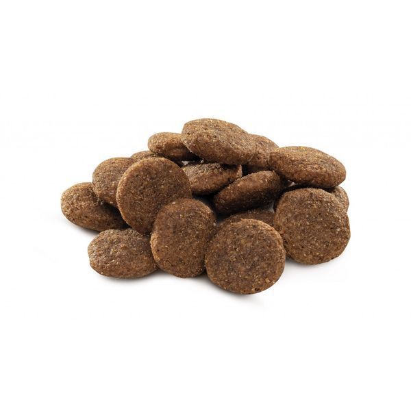 Корм сухий Brit Premium Dog Adult L для дорослих собак великих порід вагою 25-45 кг з куркою 15 кг 170827/6468 фото