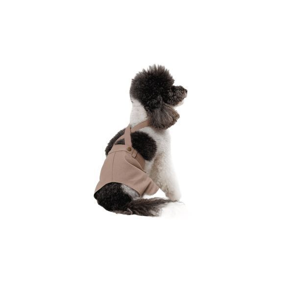 Шорти Pet Fashion Leo для собак XS PR244570 фото