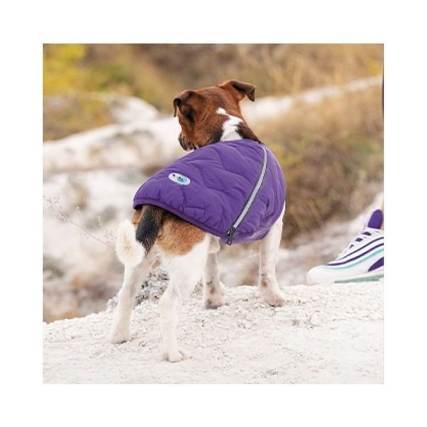 Жилет Pet Fashion E.Vest для собак фіолетовий XS PR242419 фото