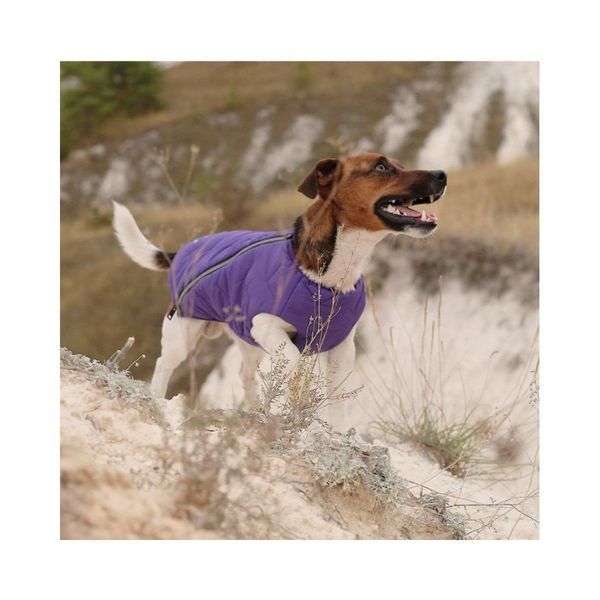 Жилет Pet Fashion E.Vest для собак фіолетовий XS PR242419 фото